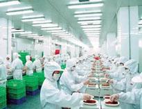 四川(chuan)廚房設(she)備制(zhi)造廠(chang)商(shang)告訴(su)妳中央(yang)廚房是(shi)如何(he)做(zuo)死(si)的