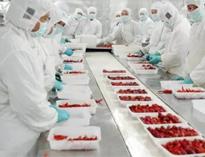 四川廚(chu)房設備(bei)生(sheng)產廠家(jia)告訴(su)妳如何(he)解(jie)決(jue)中(zhong)央(yang)廚(chu)房(fang)配(pei)送問(wen)題