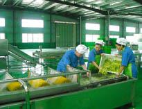 四川中(zhong)央(yang)廚(chu)房設備(bei)廠(chang)家詳解(jie)中(zhong)央(yang)廚(chu)房的(de)分區要自(zi)己(ji)設計註意(yi)事(shi)項