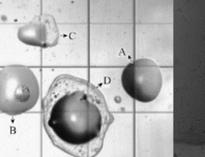 大型單(dan)位(wei)食堂(tang)廚房(fang)設(she)備(bei)生產(chan)廠家(jia)教妳(ni)油(you)煙(yan)汙染常識(shi)